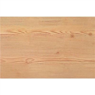 Kayu Pinus